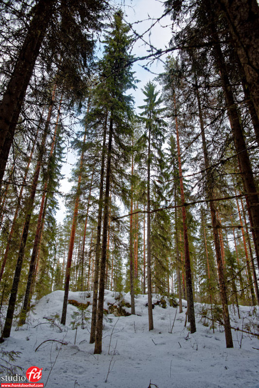 Finland A7r  (48) - February 25, 2015_DxO