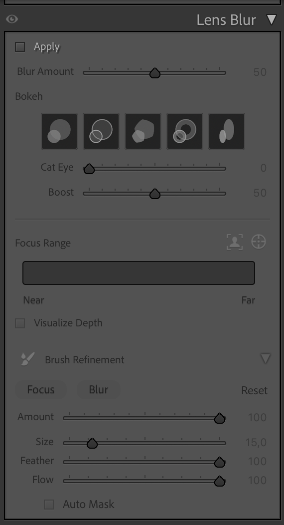 a screen capture of my workflow in Lightroom