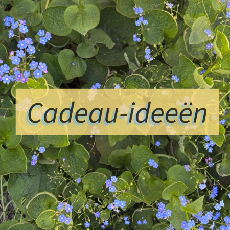 Cadeau-ideeën