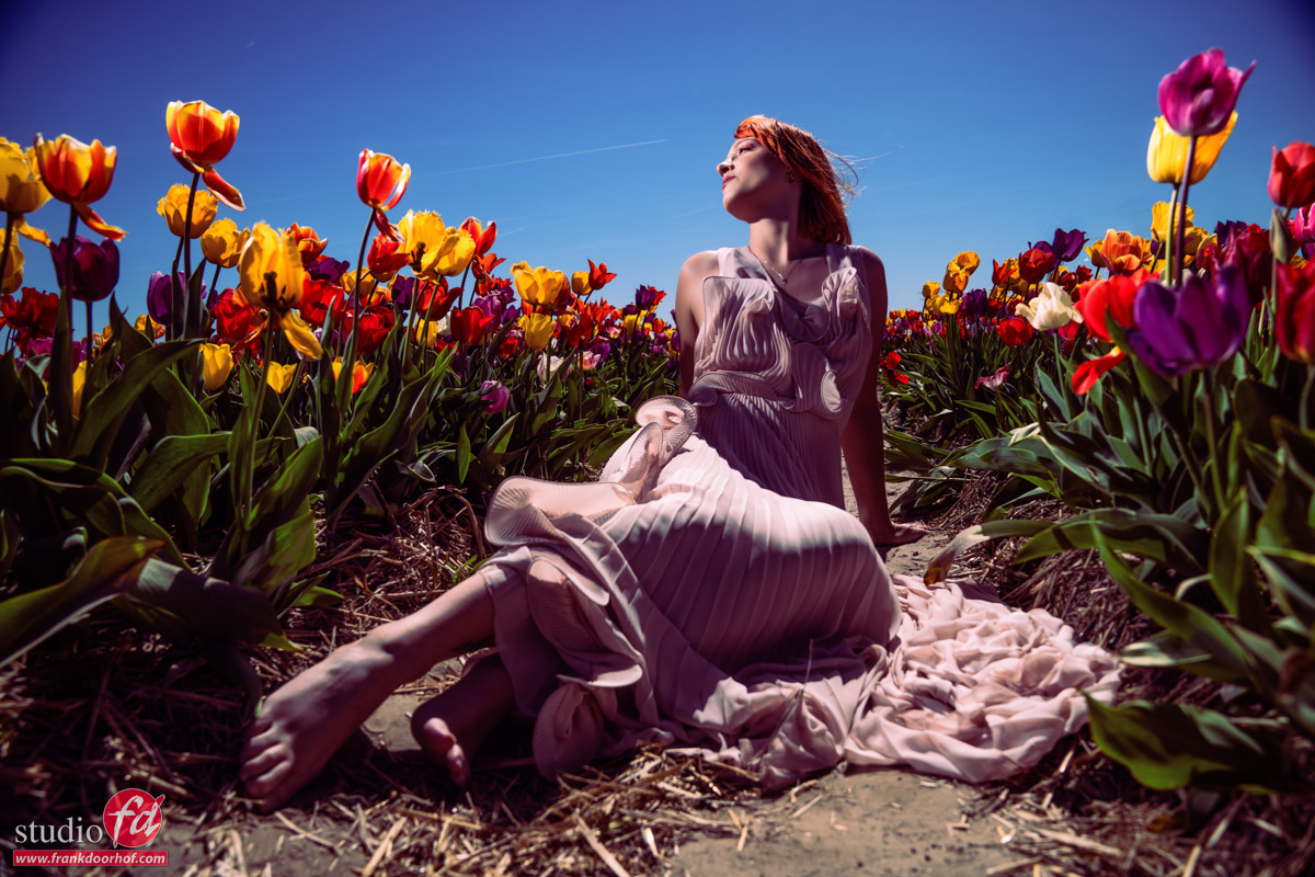Portable Power: Lighting a Model in Tulip Fields