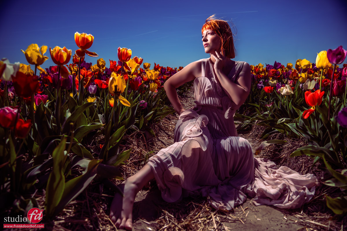 Portable Power: Lighting a Model in Tulip Fields