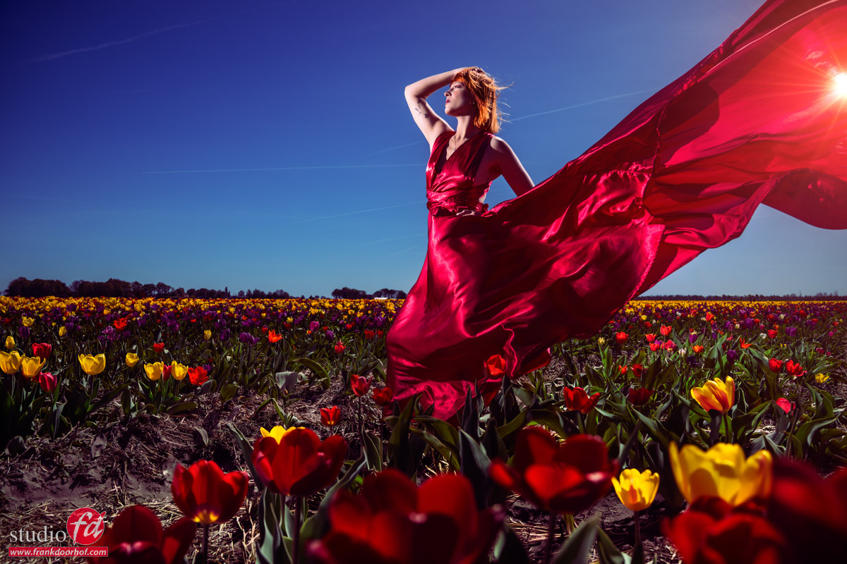 Portable Power: Lighting a Model in Tulip Fields