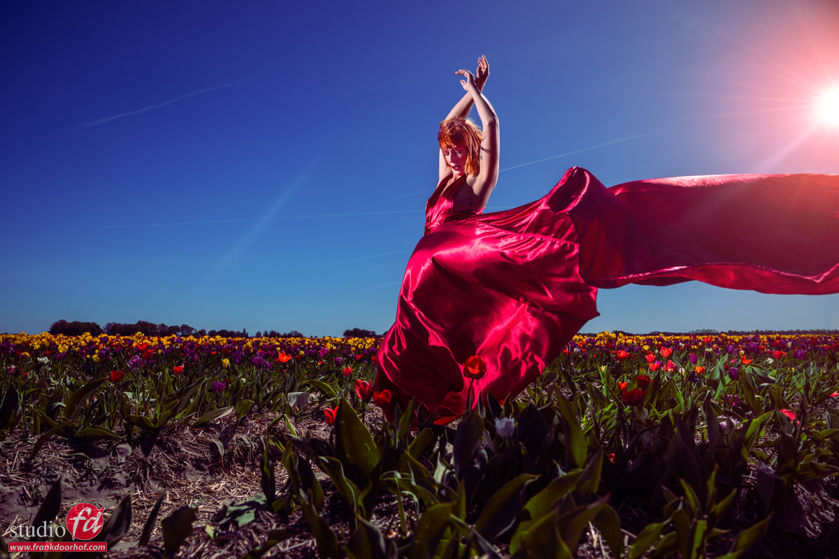Portable Power: Lighting a Model in Tulip Fields