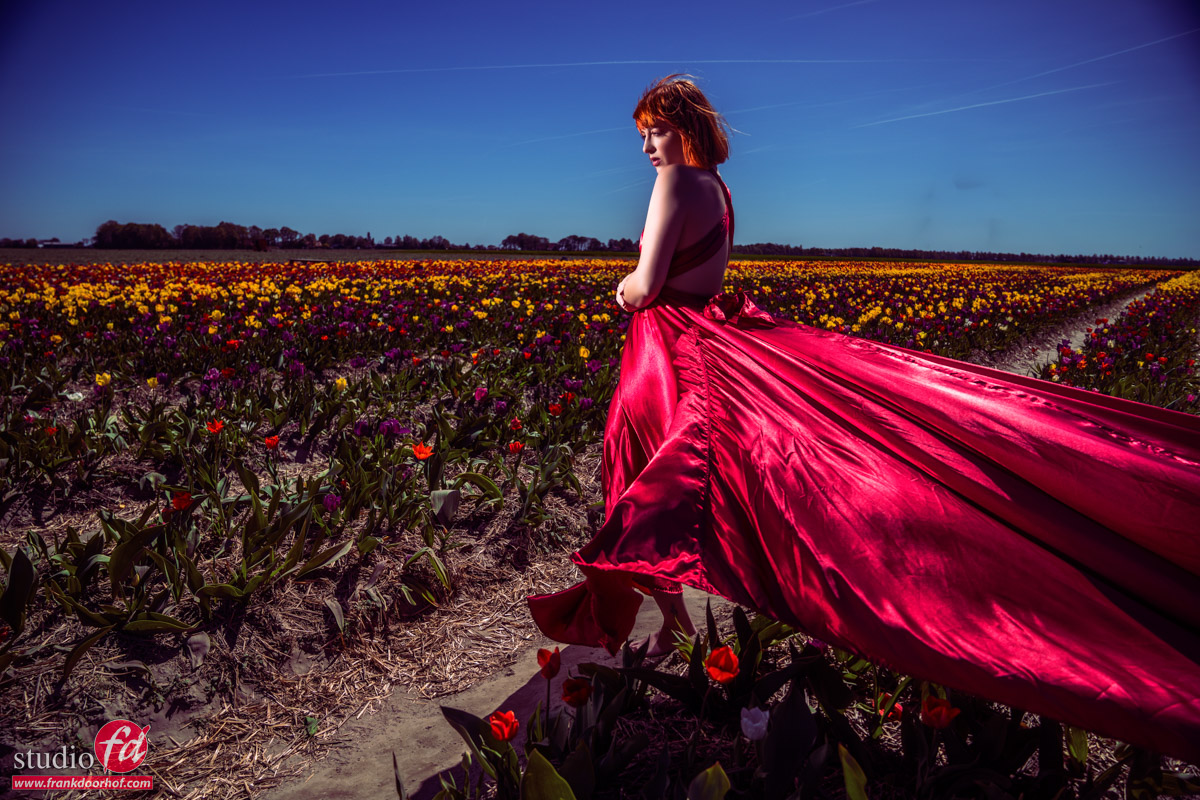 Portable Power: Lighting a Model in Tulip Fields